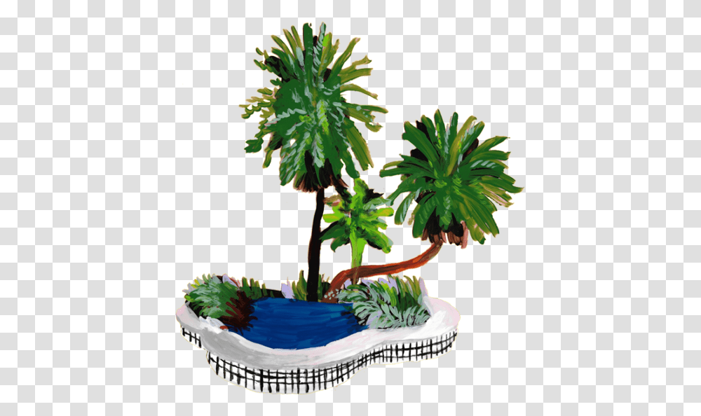 Emily Lefebvre, Plant, Tree, Palm Tree Transparent Png