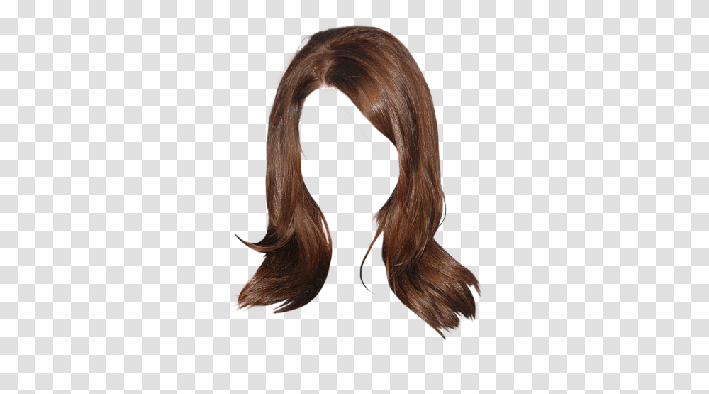 Emma Stone Long Straight Chestnut Brunette Hairstyle With Hair With Background, Wig, Person, Human, Painting Transparent Png