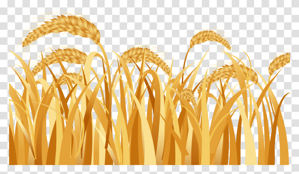Emmer Ear Rice Wheat Field Vector, Plant, Grain, Produce, Vegetable Transparent Png