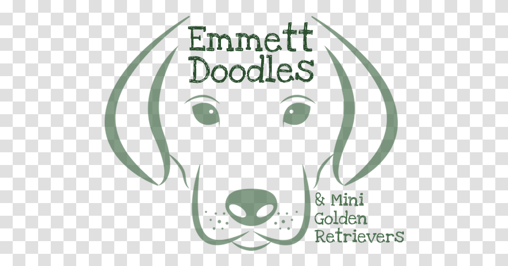 Emmett Goldendoodles And Mini Golden Retrievers English Foxhound, Animal, Mammal, Label Transparent Png