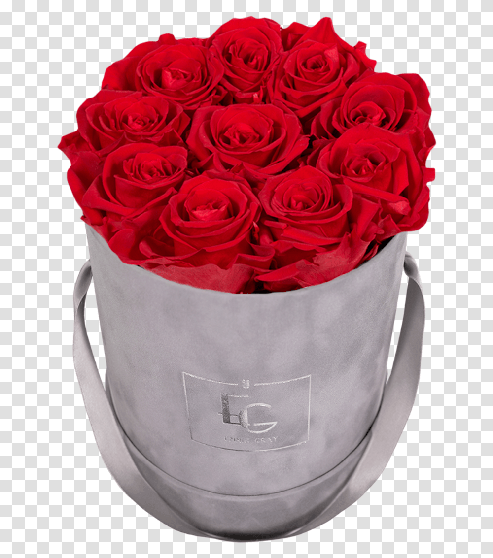 Emmie Gray, Plant, Flower Bouquet, Flower Arrangement, Blossom Transparent Png