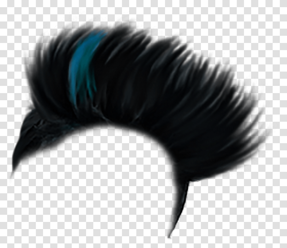 Emo Hair Hair Color Boy, Chicken, Poultry, Fowl, Bird Transparent Png