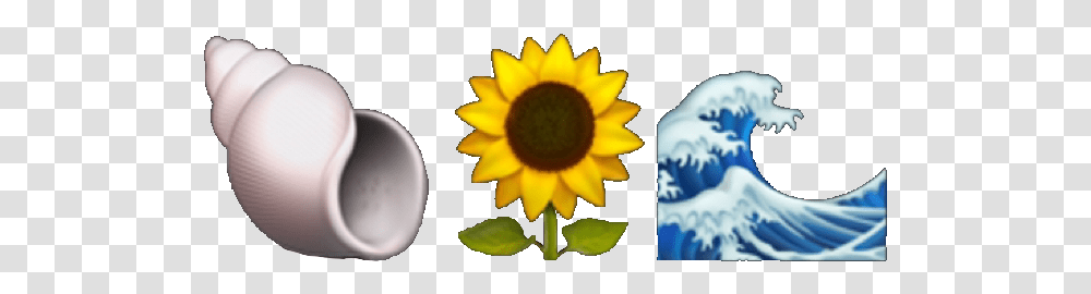 Emoji Aesthetic Tumblr Sunflower Sea Water Shell Aesthetic Sunflower Easy, Plant, Blossom, Bird, Animal Transparent Png