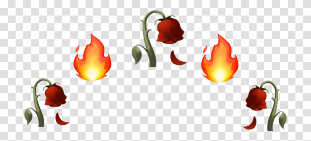 Emoji Crown Aesthetic Crowns Emoji, Plant, Flower Transparent Png