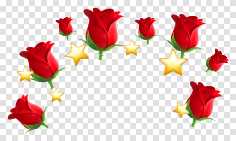 Emoji Crown Emojicrown Foryou Lol Sticker Garden Roses, Star Symbol, Flower, Plant Transparent Png