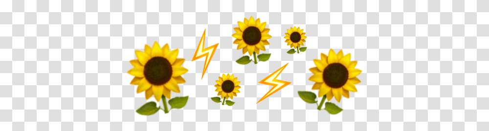 Emoji Crown Iphone Yellow Flower Aesthetic Flower Emoji Crown, Plant, Blossom, Sunflower, Daisy Transparent Png