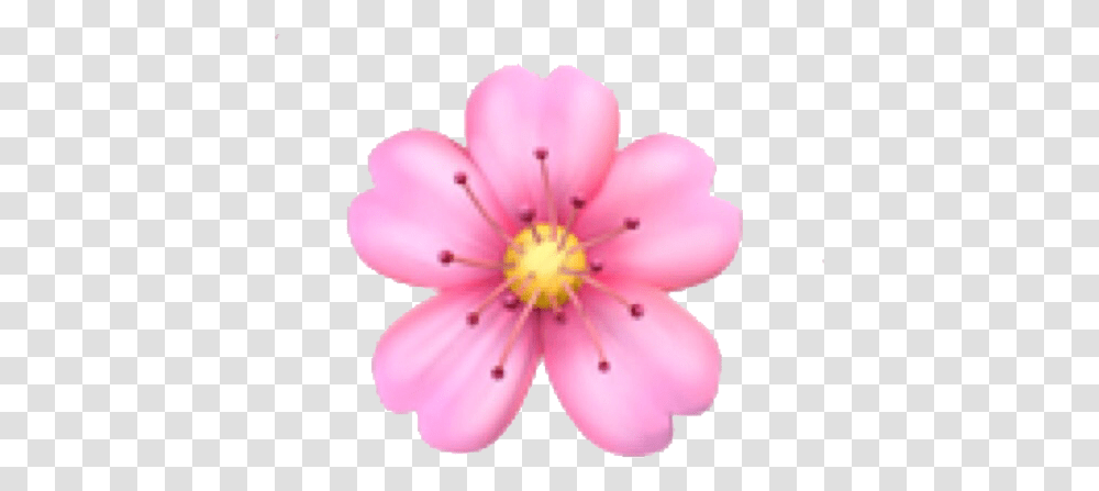 Emoji Domain Flower Iphone Flower Emoji, Plant, Anther, Blossom, Petal Transparent Png