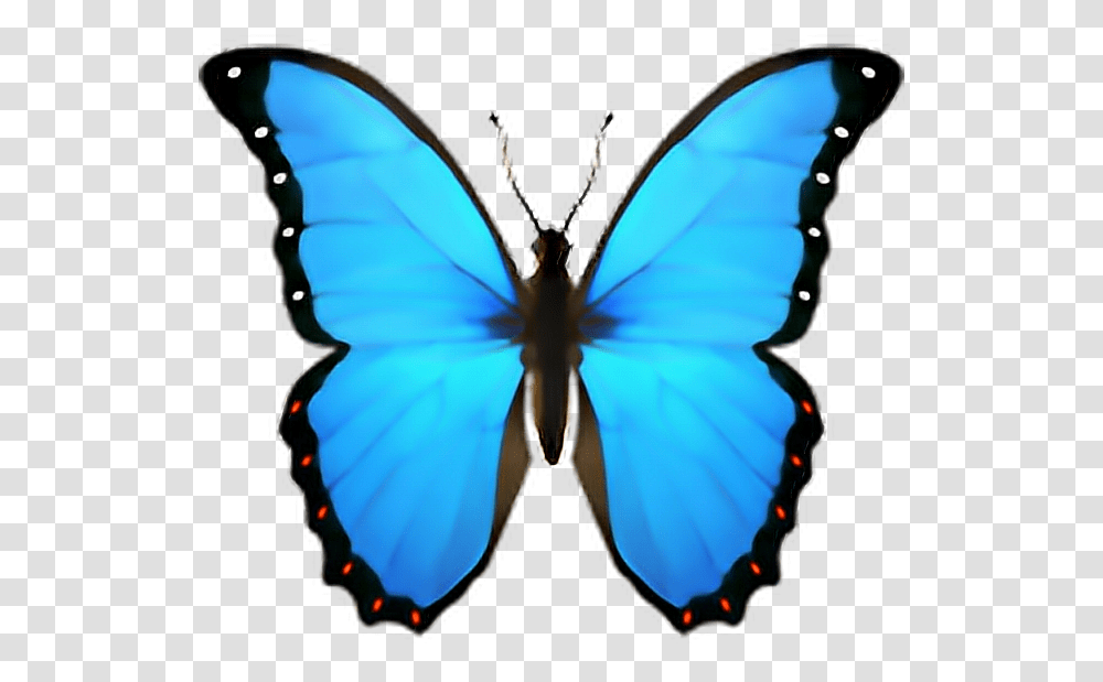 Emoji Emoji Butterfly, Ornament, Pattern, Insect, Invertebrate Transparent Png
