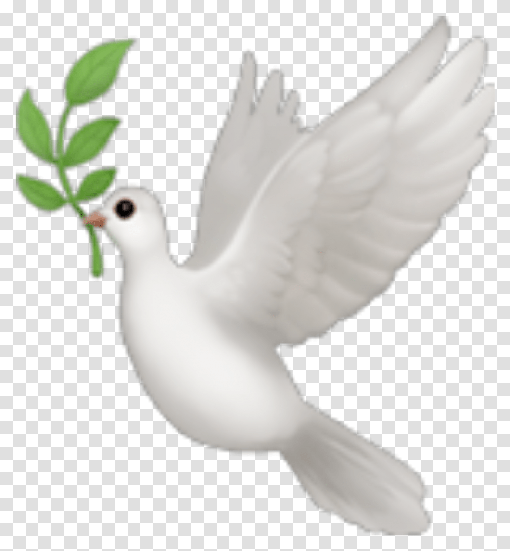 Emoji Emojis Bird Dove Emoji Bird Transparent Png