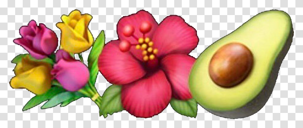 Emoji Emojis Emojicombo Guacamole Flower Flowers Iphone Emoji Flower, Plant, Hibiscus, Blossom, Anther Transparent Png