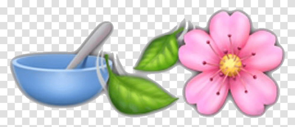 Emoji Emojis Nature Iphone Background Trendy Rosa Rubiginosa, Plant, Leaf, Flower, Blossom Transparent Png
