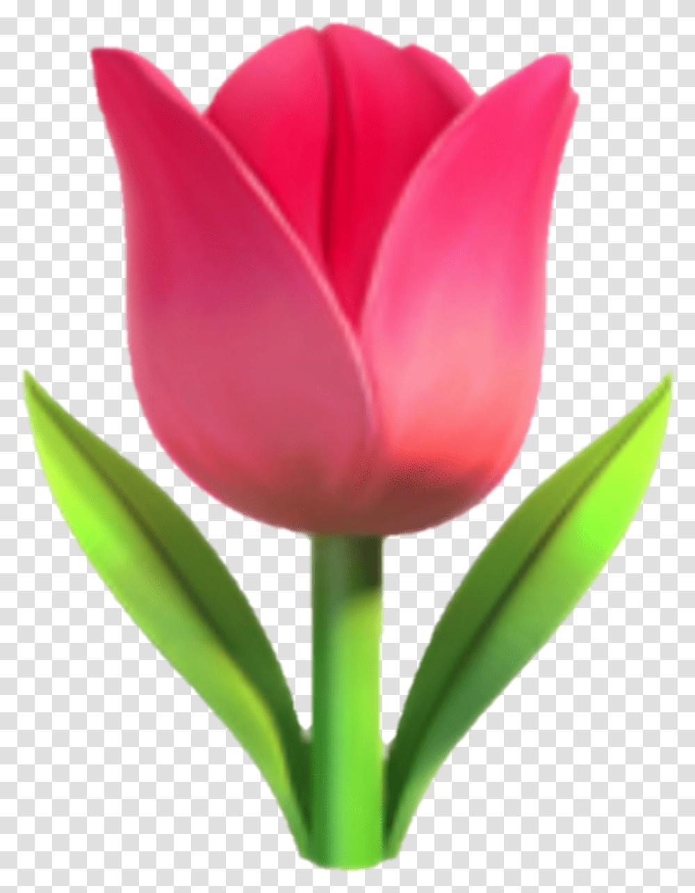 Emoji Fleur Flower Flora Rose Tulip Tulip Emoji, Plant Transparent Png