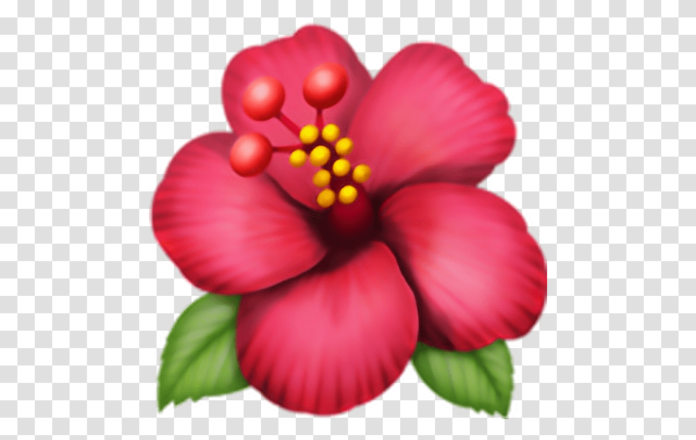 Emoji Flor Pngtumblr Pngs Adesivo Flower, Hibiscus, Plant, Blossom, Anther Transparent Png