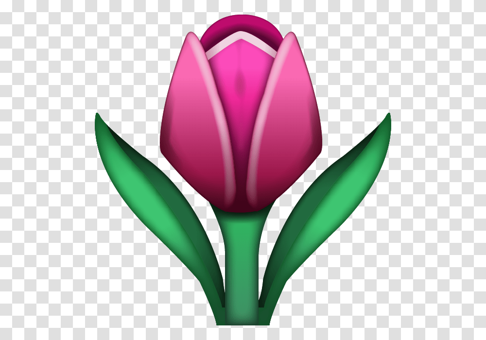 Emoji Flower 5 Image Pink Tulip Emoji Apple, Plant, Blossom Transparent Png