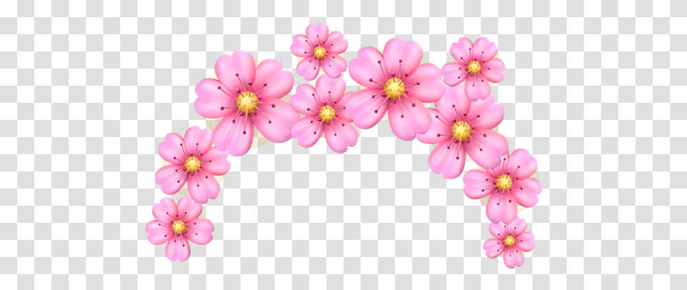 Emoji Flower Crown, Plant, Anther, Blossom, Cherry Blossom Transparent Png
