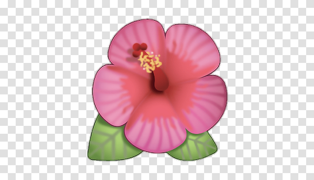 Emoji Flower The Emoji, Plant, Hibiscus, Blossom Transparent Png