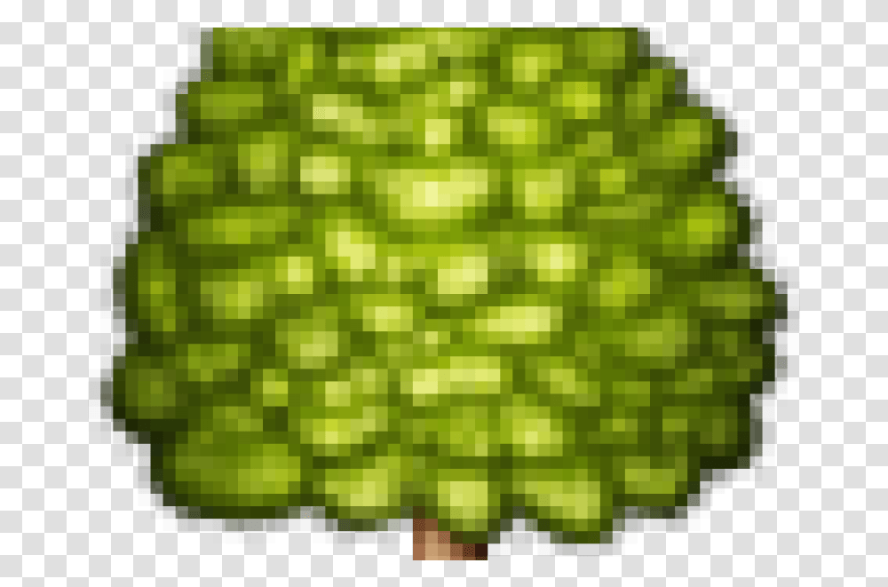 Emoji Home Bear Poop Tree Emoji, Lighting, Green, Rug, Plant Transparent Png
