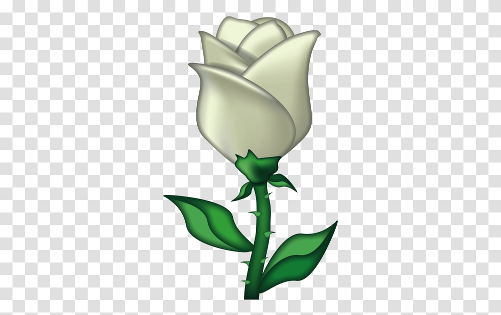 Emoji Iphone White Rose Emoji, Plant, Flower, Blossom, Lamp Transparent Png