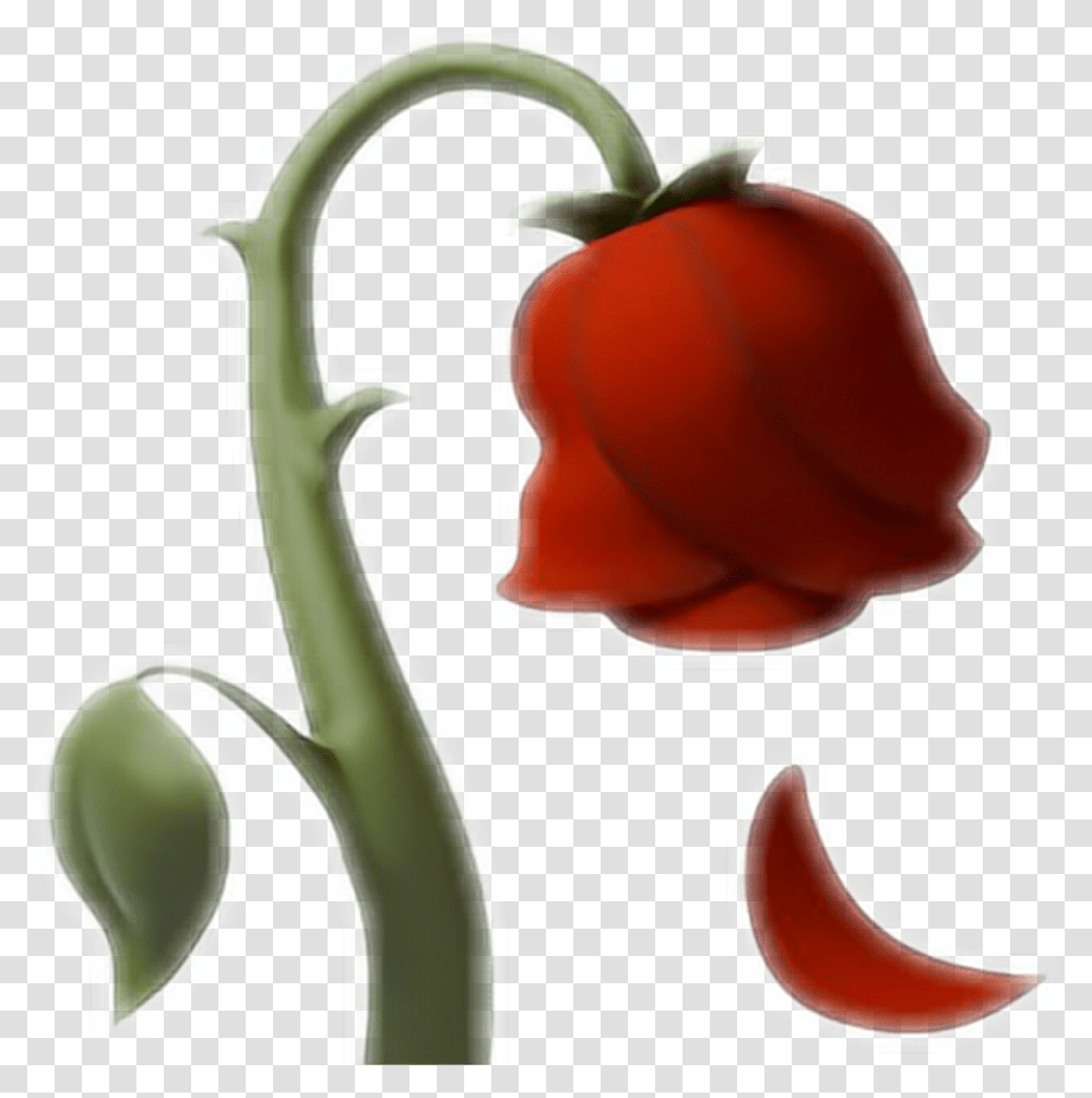 Emoji Rose Rosa Ios10 Whatsapp Red Love Flower Dying Rose Emoji, Plant, Pepper, Vegetable, Food Transparent Png