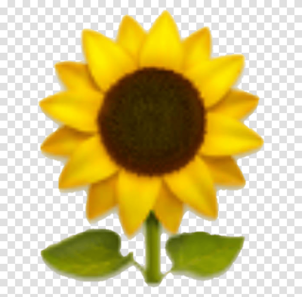 Emoji Sunflower Yellow Yellowflower Emoji Sunflower, Plant, Blossom, Outdoors, Nature Transparent Png