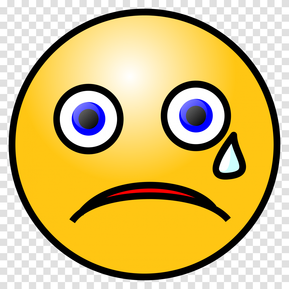 Emoticons Crying Face Icons, Bird, Animal, Bowl, Mask Transparent Png