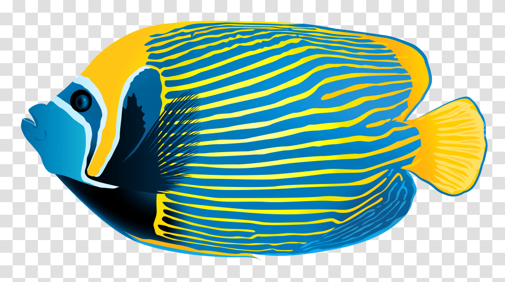 Emperor Angelfish Clip Art Gallery Transparent Png