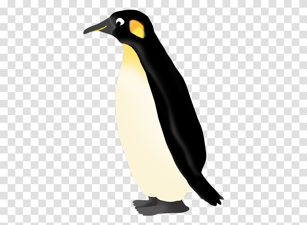 Emperor King Penguin, Bird, Animal Transparent Png