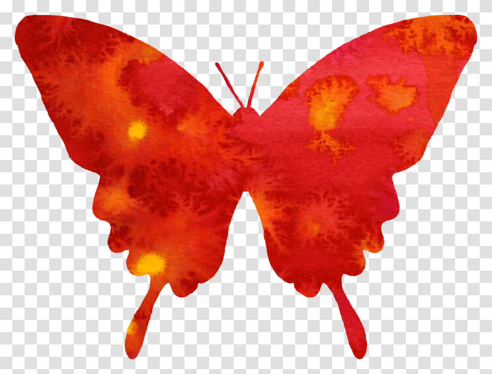 Emperor Moths, Leaf, Plant, Tree, Animal Transparent Png