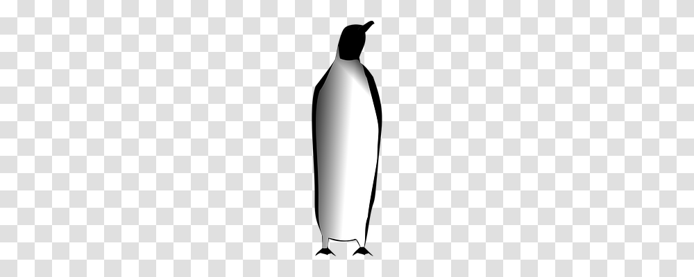 Emperor Penguin Animals, Beverage, Bottle, Alcohol Transparent Png