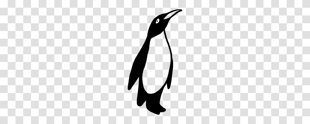 Emperor Penguin Animals, Gray, World Of Warcraft Transparent Png