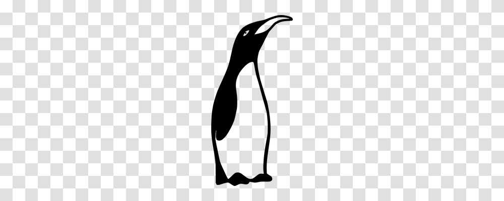 Emperor Penguin Animals, Gray, World Of Warcraft Transparent Png