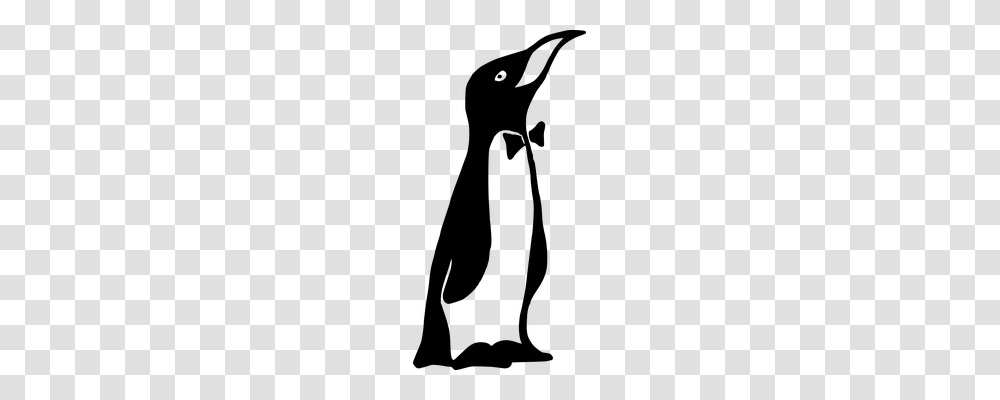 Emperor Penguin Animals, Gray, World Of Warcraft Transparent Png