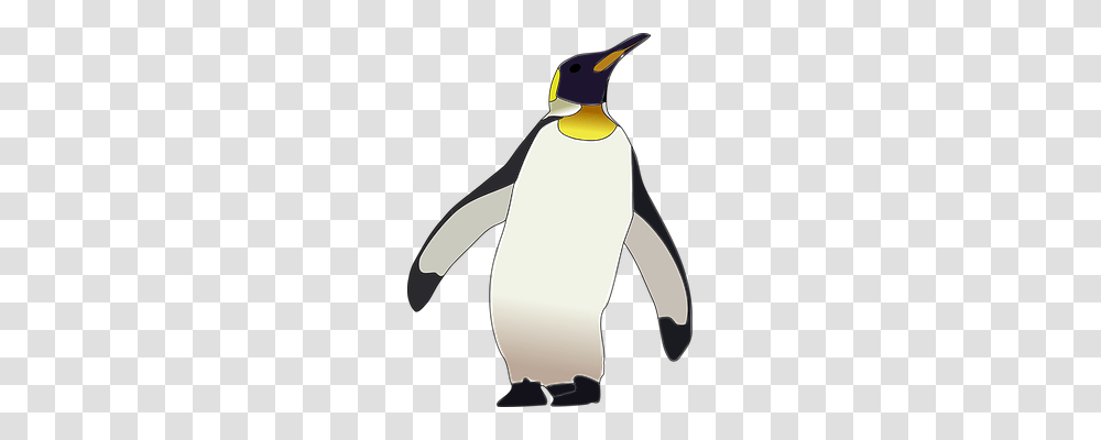 Emperor Penguin Nature, Bird, Animal, King Penguin Transparent Png