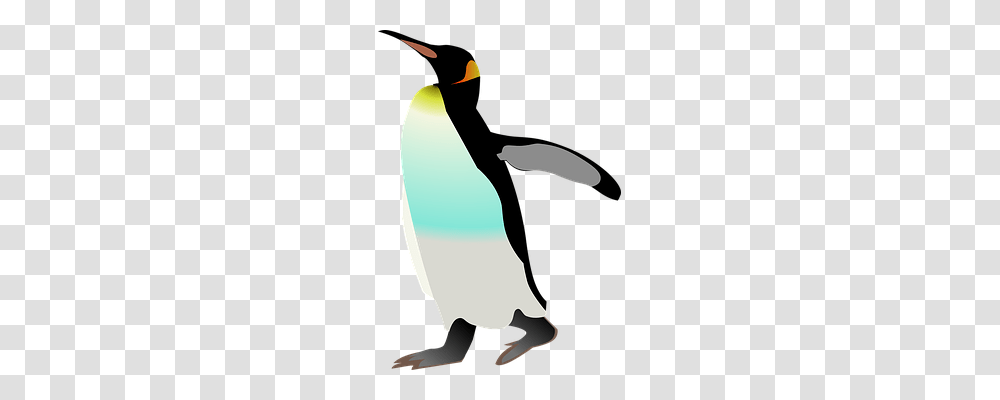 Emperor Penguin Animals, Bird, Apparel Transparent Png