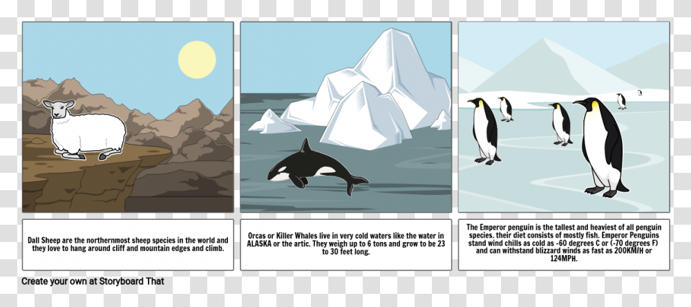 Emperor Penguin, Bird, Animal, Nature, Outdoors Transparent Png