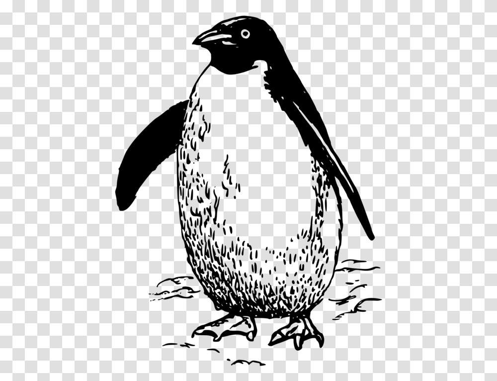 Emperor Penguin Bird Drawing Line Art Penguin Clipart Black And White, Gray Transparent Png