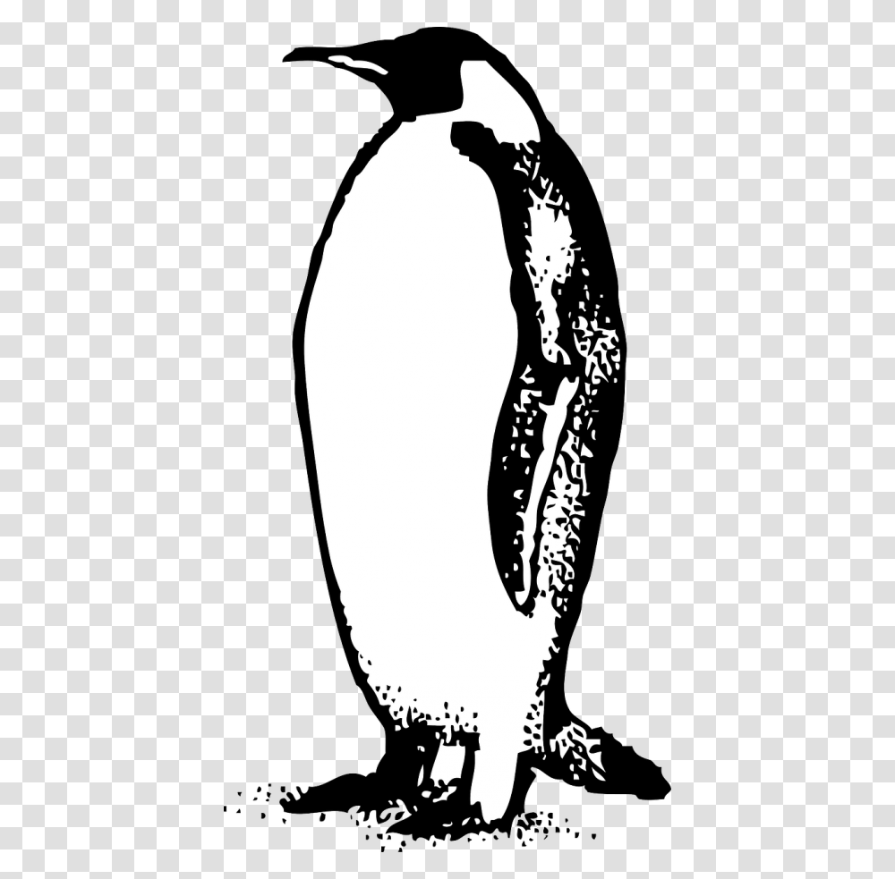 Emperor Penguin Bird Free Photo, Animal, Person, Human, King Penguin Transparent Png