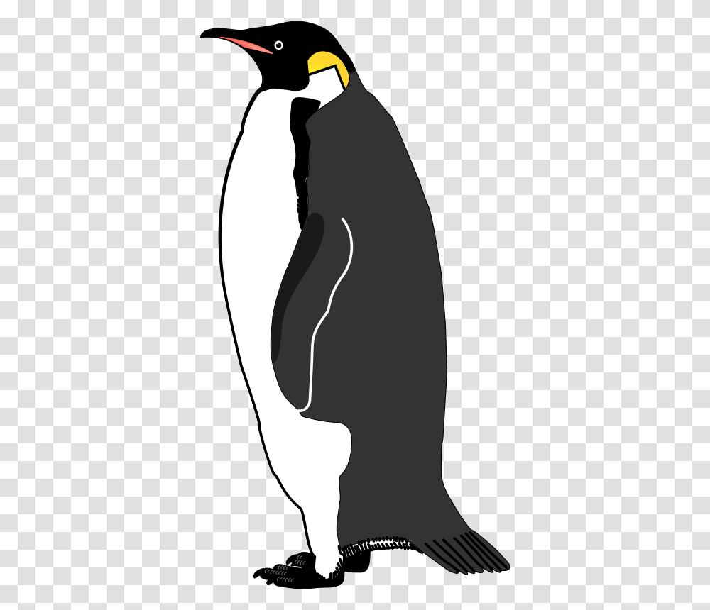 Emperor Penguin Bird Vector Graphics Image Penguin, Animal, King Penguin, Person Transparent Png