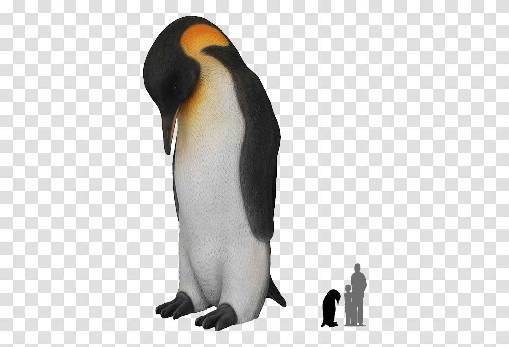 Emperor Penguin Clear Backgrounds, Bird, Animal, King Penguin Transparent Png