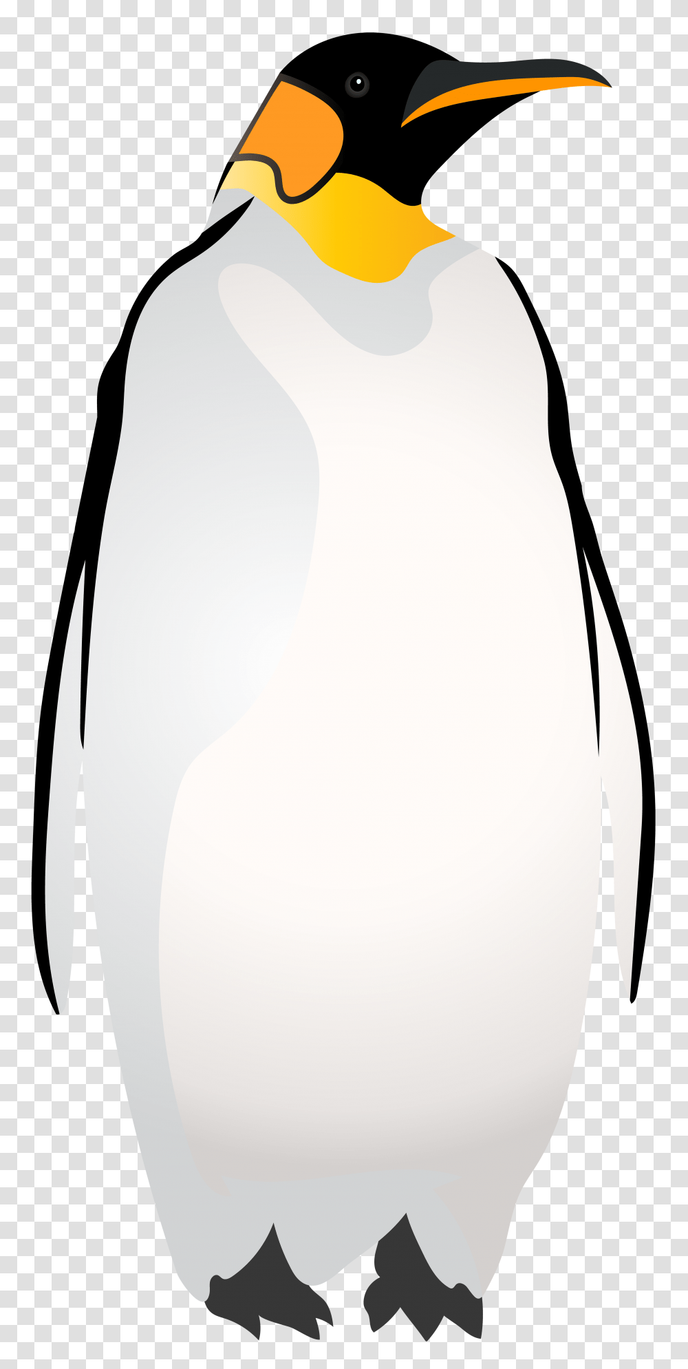 Emperor Penguin Clip, Undershirt, Jug, Bird Transparent Png
