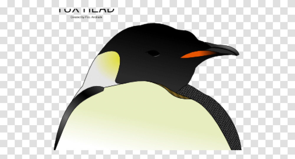 Emperor Penguin Clipart Penguin Head Penguin Head Clipart, King Penguin, Bird, Animal Transparent Png