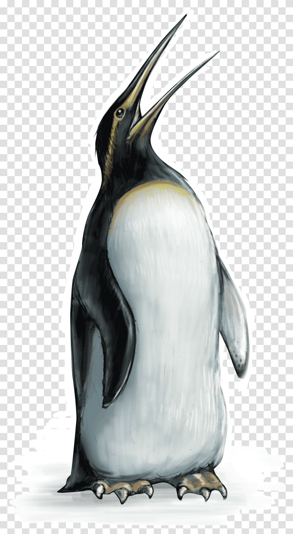Emperor Penguin Emperor Penguin, Bird, Animal, King Penguin Transparent Png