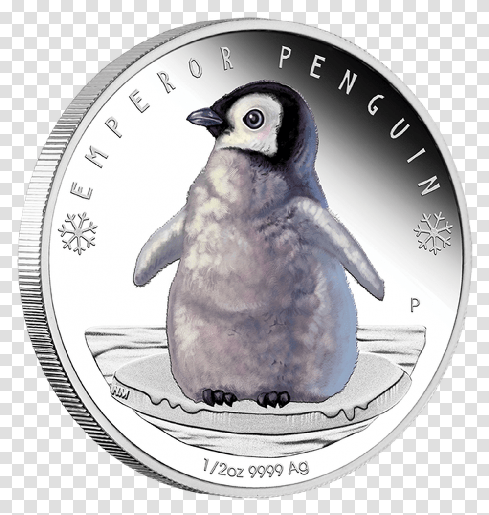 Emperor Penguin, Nickel, Coin, Money, Dime Transparent Png