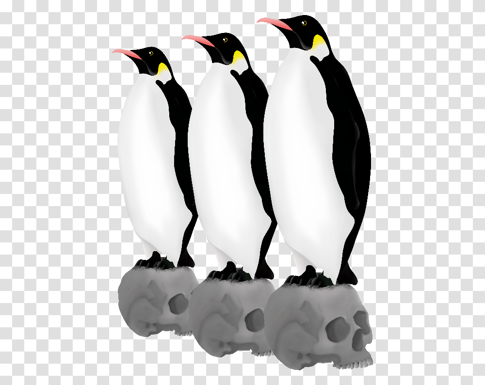 Emperor Penguins Skulls Adlie Penguin, Plant, Bird, Animal, Flower Transparent Png