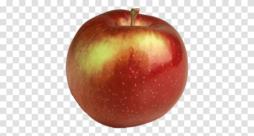 Empire Apple, Fruit, Plant, Food Transparent Png