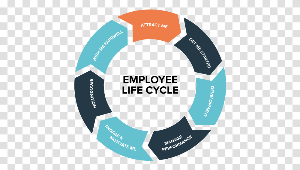 Employee Life Cycle Uk, Soccer Ball, Team Sport, Sports Transparent Png