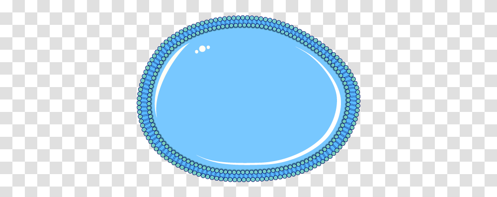 Empty Cell Receptor, Oval, Hip, Pattern Transparent Png