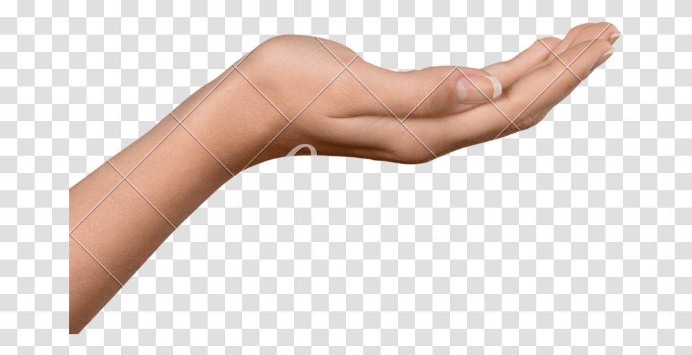 Empty Open Hand, Arm, Person, Human, Wrist Transparent Png