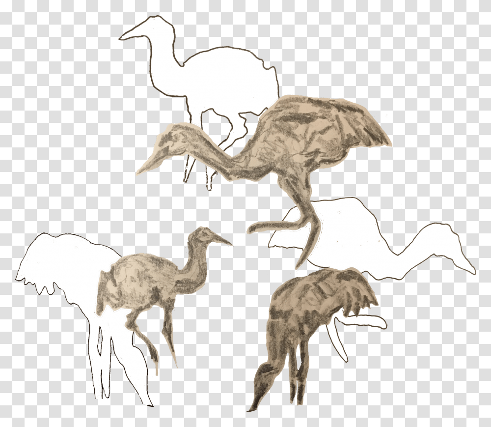 Emu, Animal, Bird, Dinosaur, Reptile Transparent Png