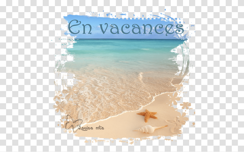 En Vacances Patricia, Shoreline, Water, Outdoors, Sea Transparent Png